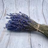 British Dried Lavender - Dark Blue