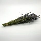 Dried Lavender Bunch - Lavender